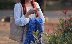 欧美独立站运营二区